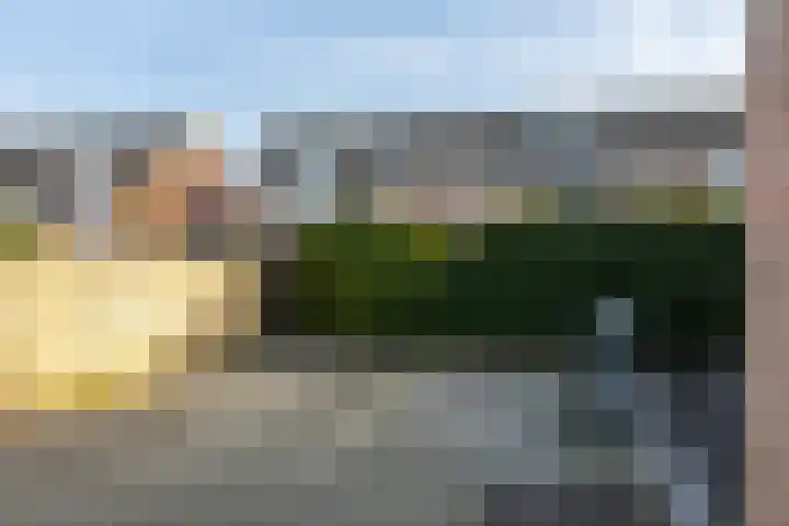 Rietgors 11 Moordrecht thumbnail 53
