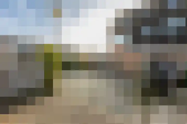 Rietgors 11 Moordrecht thumbnail 6