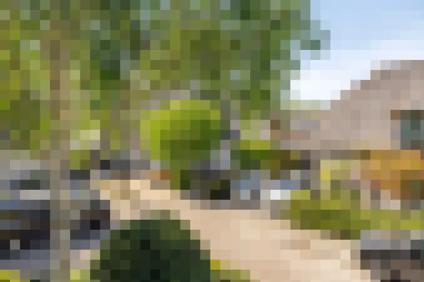 Rietgors 12 IJsselstein thumbnail 31