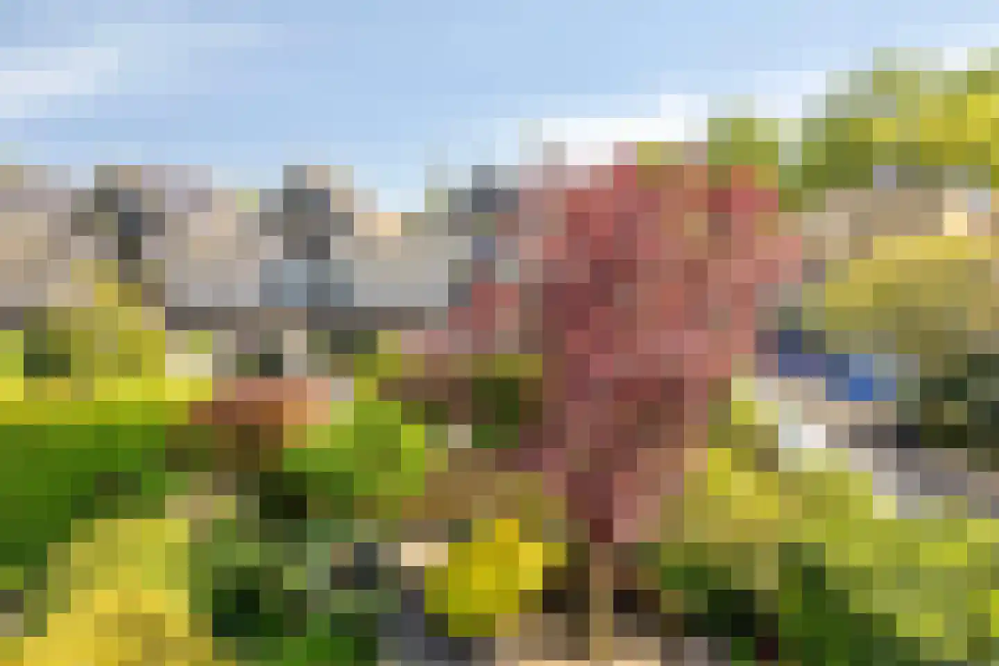 Rietgors 12 IJsselstein thumbnail 37