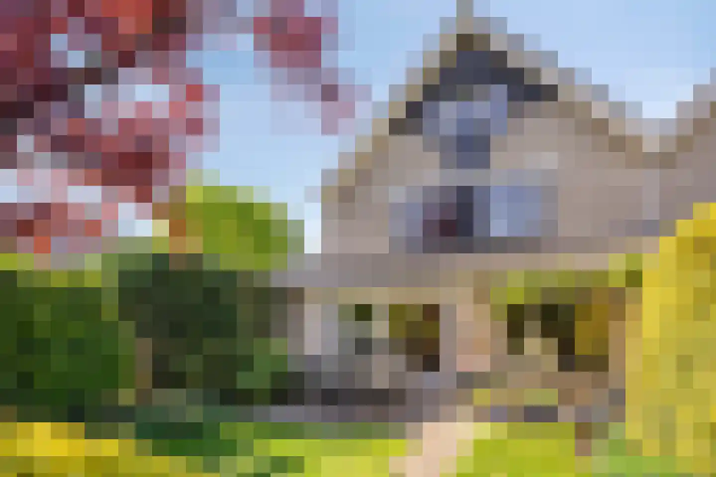 Rietgors 12 IJsselstein thumbnail 4