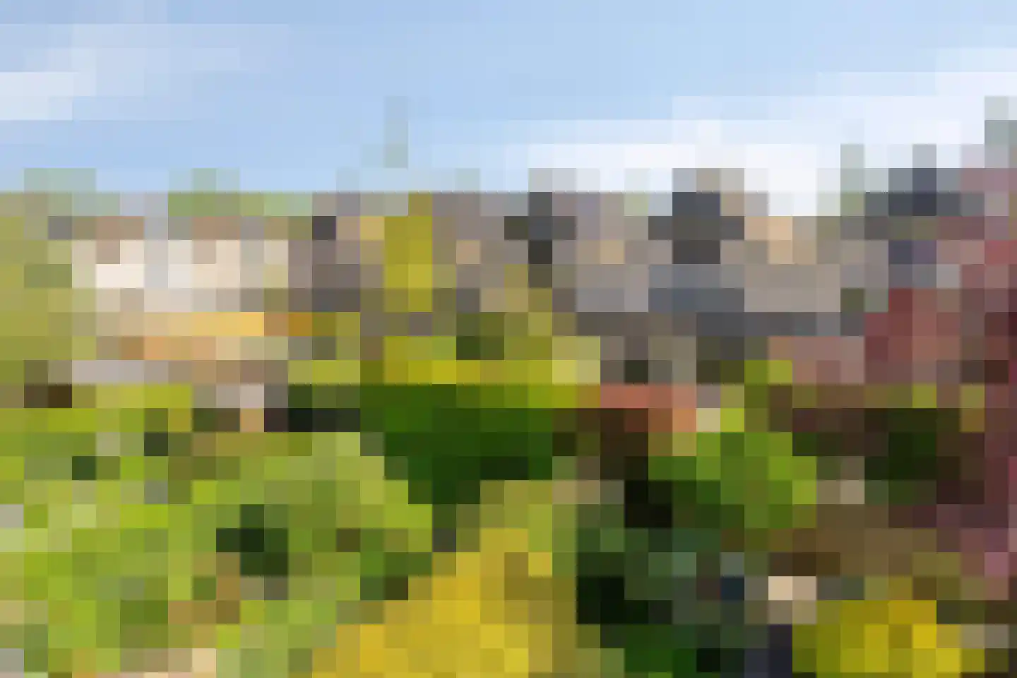 Rietgors 12 IJsselstein thumbnail 40