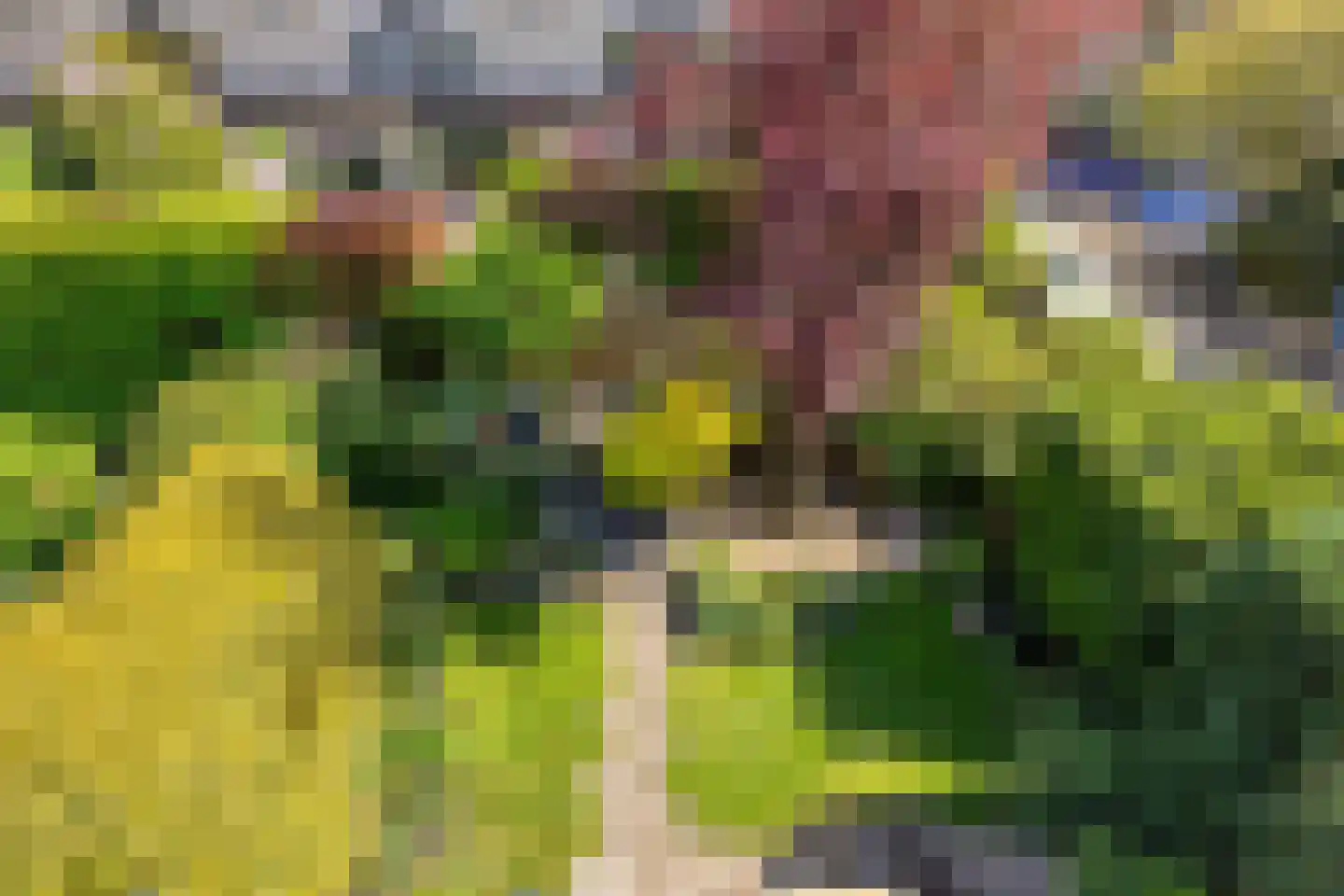 Rietgors 12 IJsselstein thumbnail 49