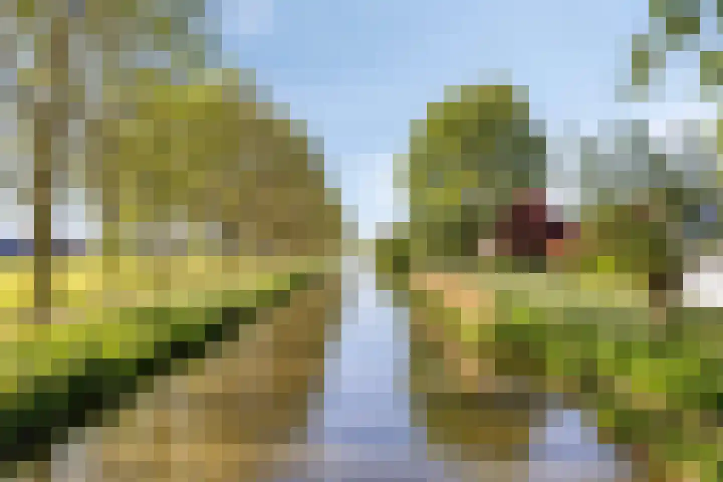 Rietgors 12 IJsselstein thumbnail 5