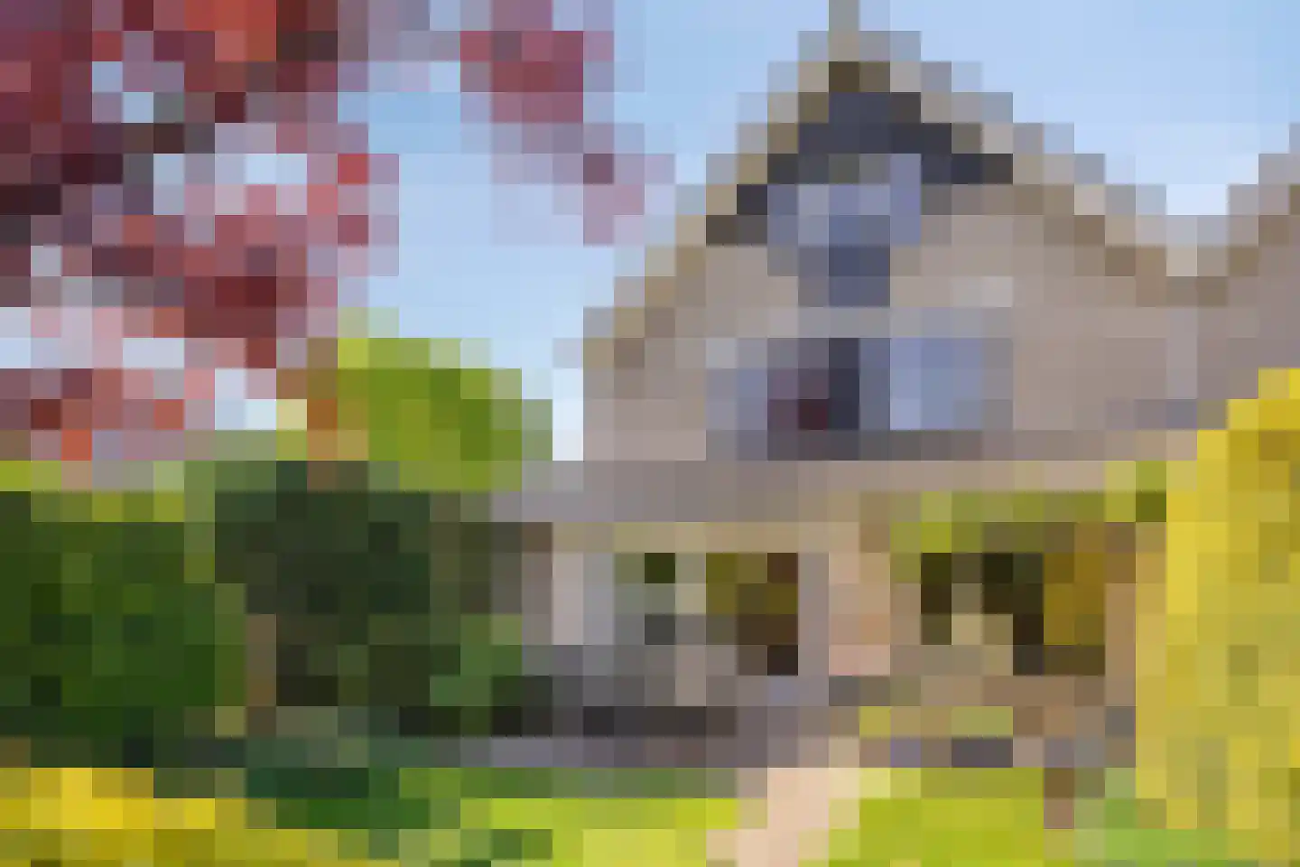 Rietgors 12 IJsselstein thumbnail 50