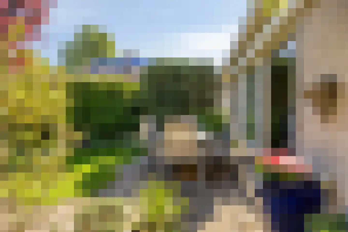 Rietgors 12 IJsselstein thumbnail 51