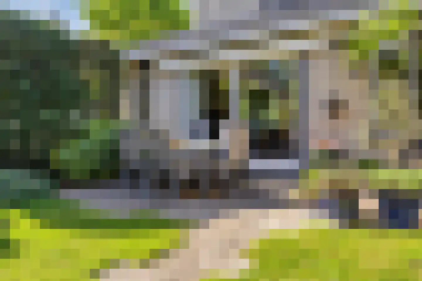 Rietgors 12 IJsselstein thumbnail 52