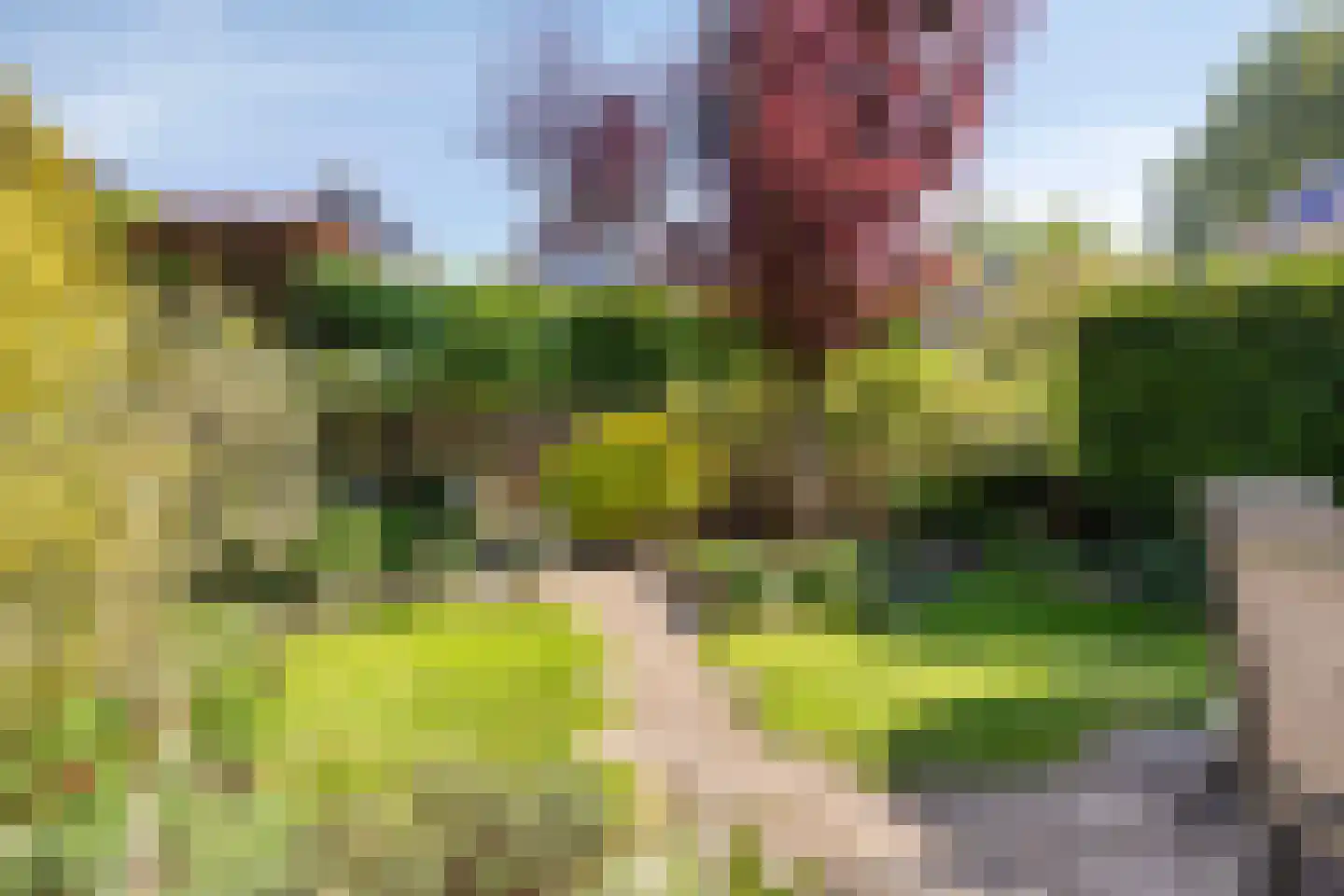 Rietgors 12 IJsselstein thumbnail 53