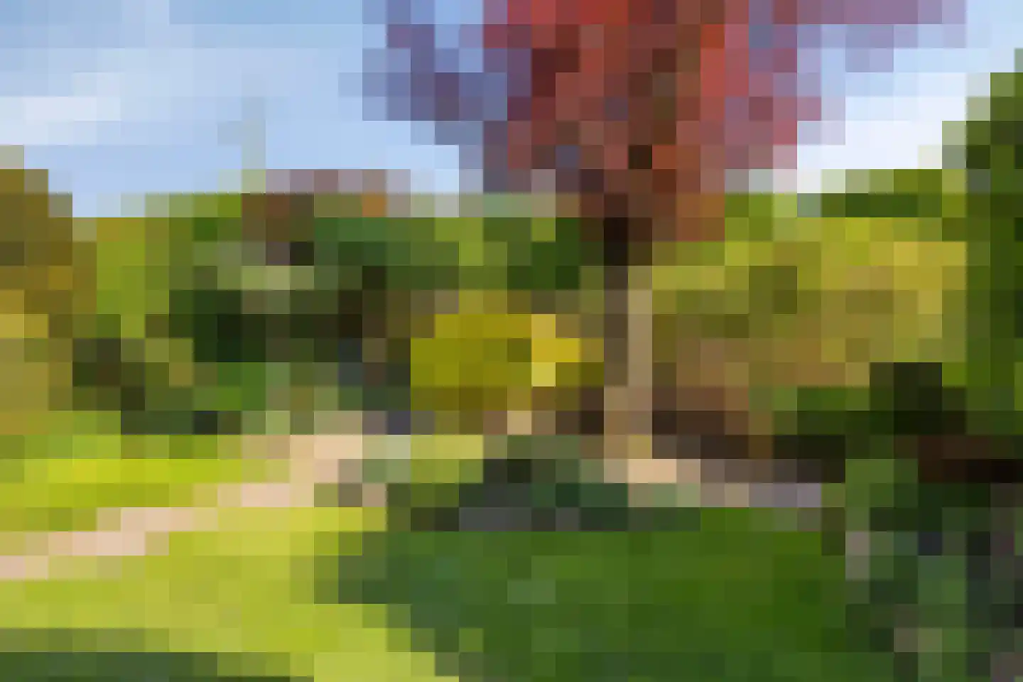 Rietgors 12 IJsselstein thumbnail 54