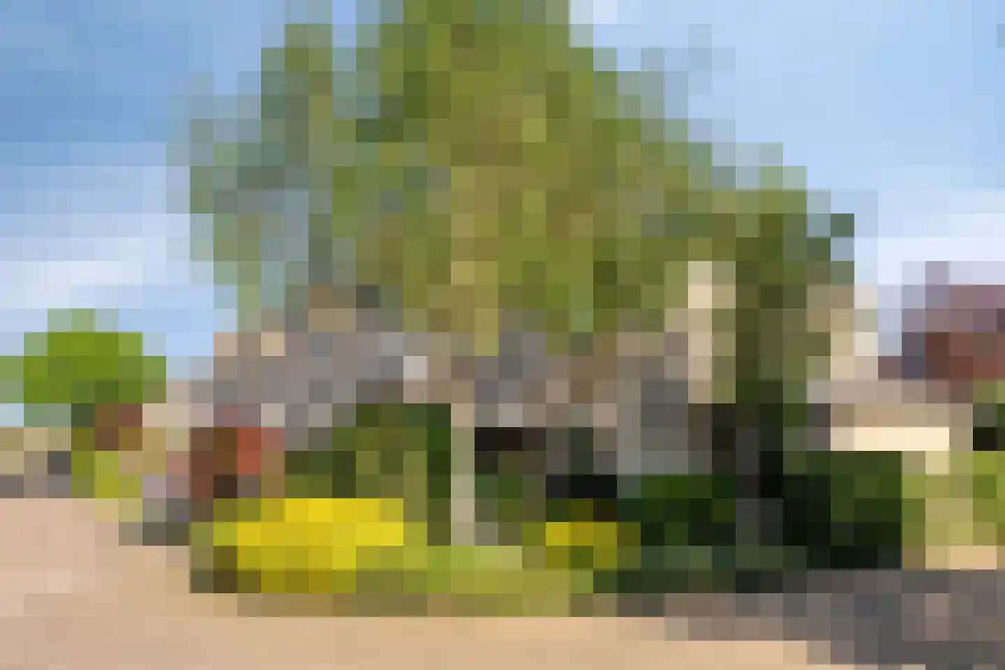 Rietgors 12 IJsselstein thumbnail 58
