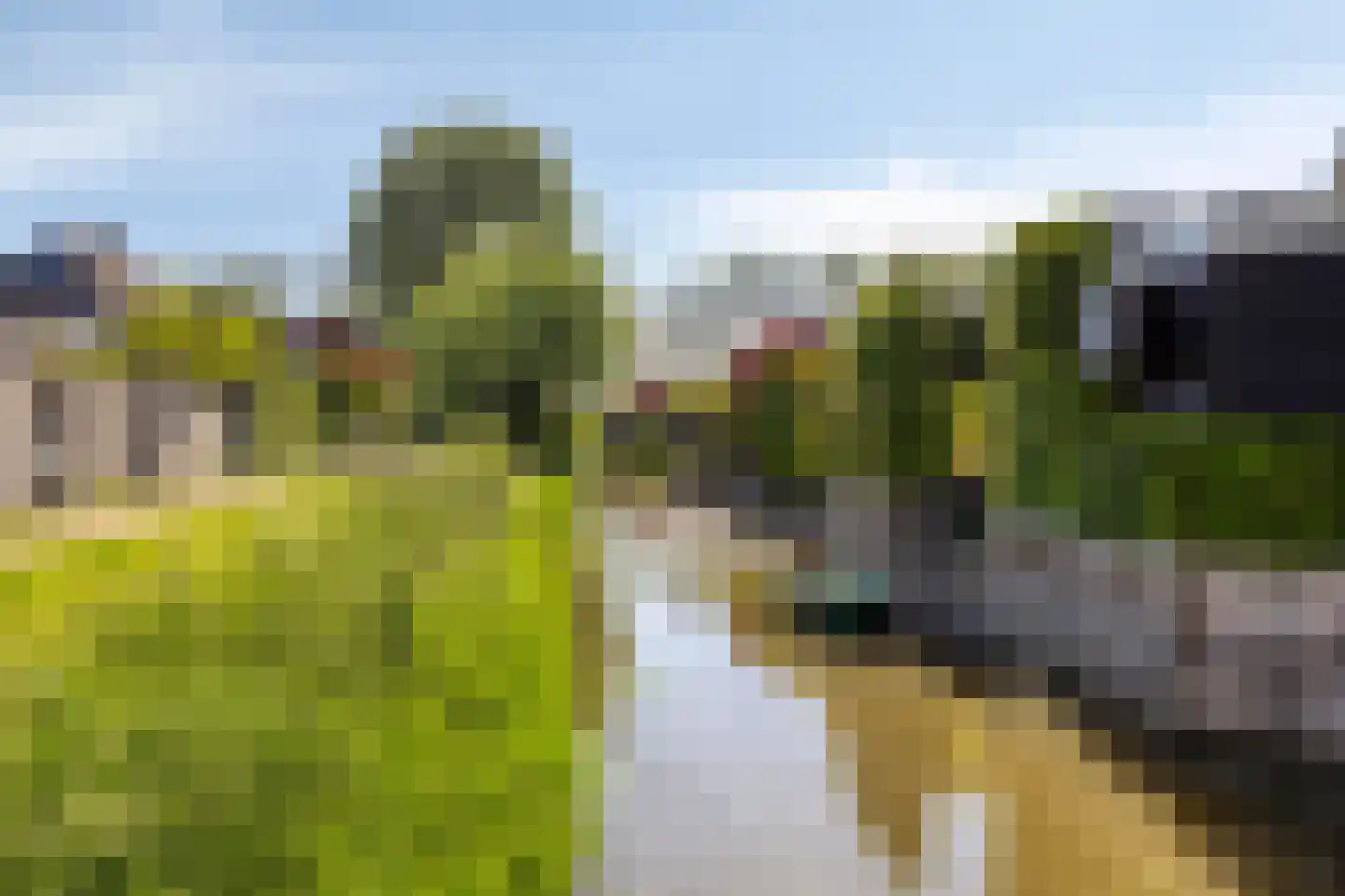 Rietgors 12 IJsselstein thumbnail 60