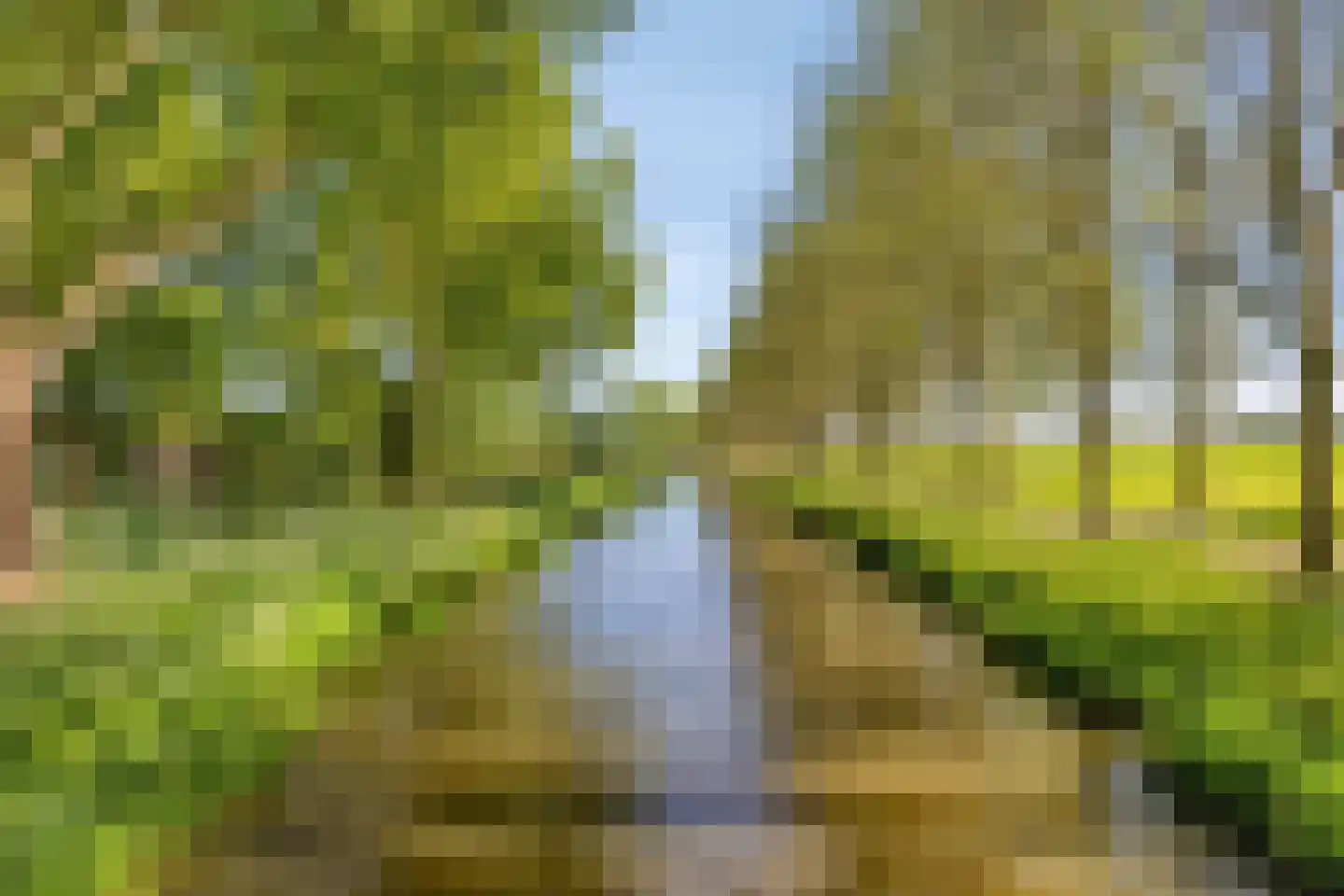 Rietgors 12 IJsselstein thumbnail 62