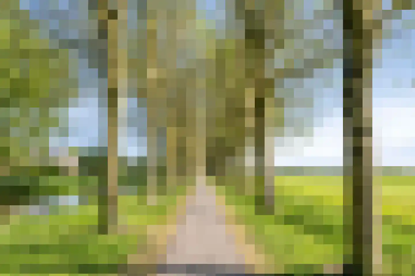 Rietgors 12 IJsselstein thumbnail 64