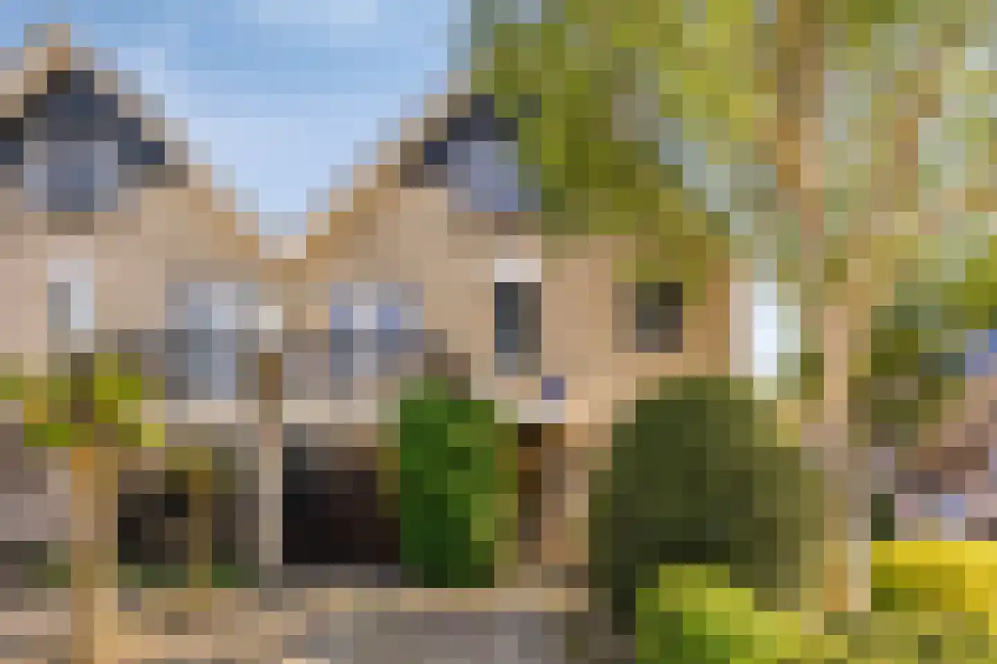 Rietgors 12 IJsselstein thumbnail 8