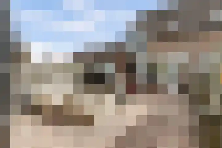 Rietgors 128 Barendrecht thumbnail 13