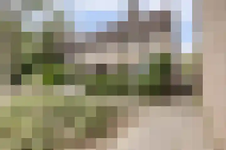 Rietgors 128 Barendrecht thumbnail 36