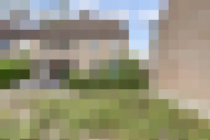 Rietgors 128 Barendrecht thumbnail 5