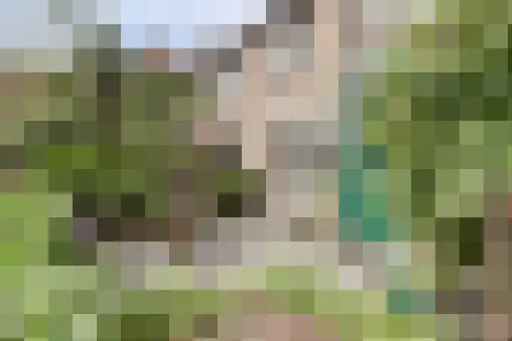 Rietgors 128 Barendrecht thumbnail 6