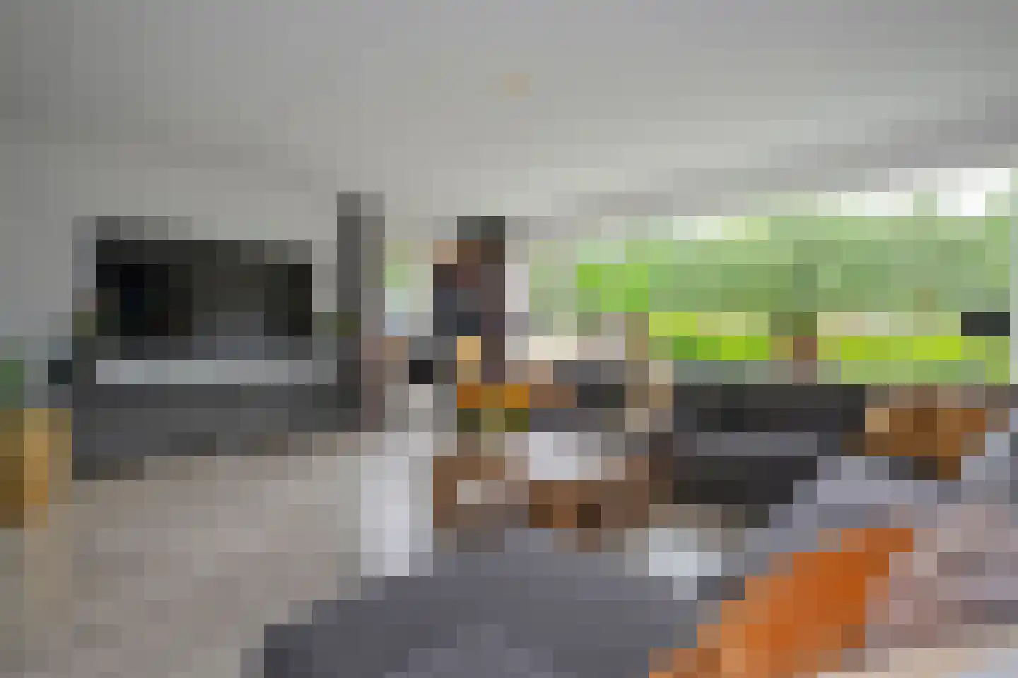 Rietgors 15 Emmen thumbnail 17