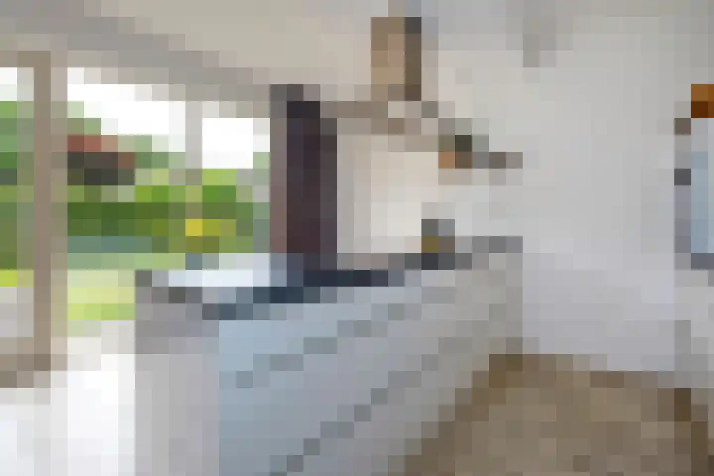 Rietgors 15 Emmen thumbnail 32
