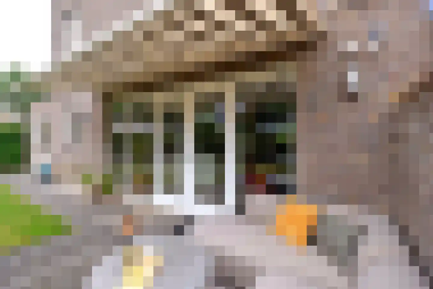 Rietgors 15 Emmen thumbnail 4