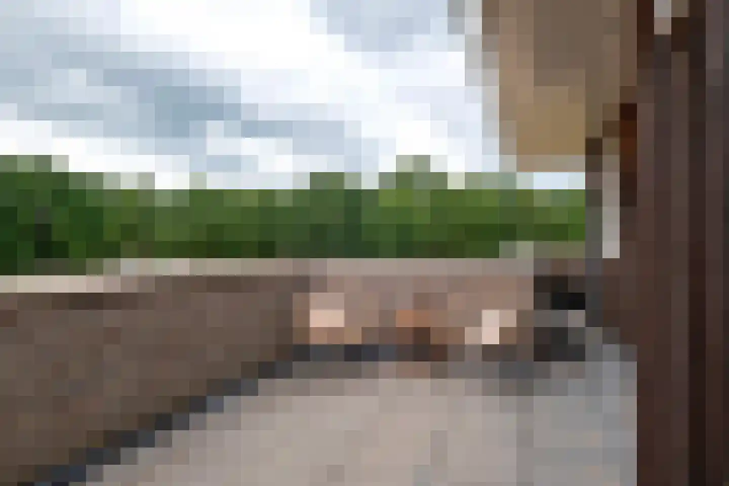 Rietgors 15 Emmen thumbnail 58