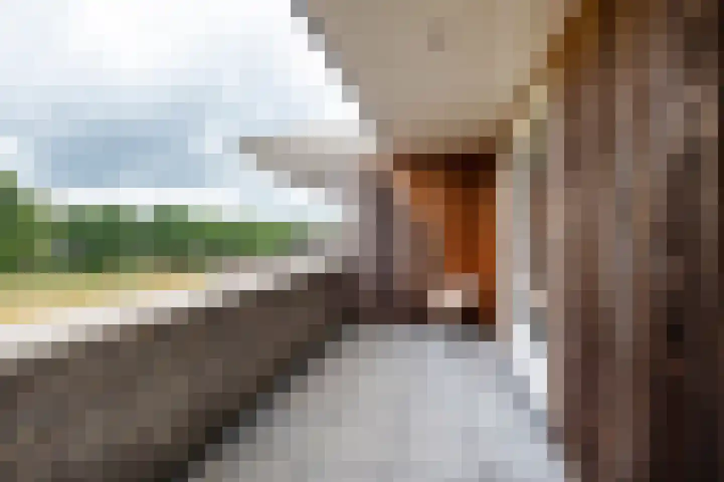 Rietgors 15 Emmen thumbnail 59