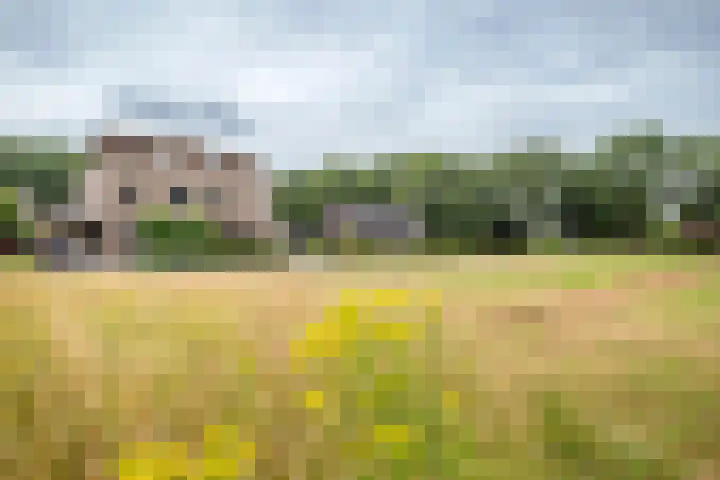 Rietgors 15 Emmen thumbnail 6