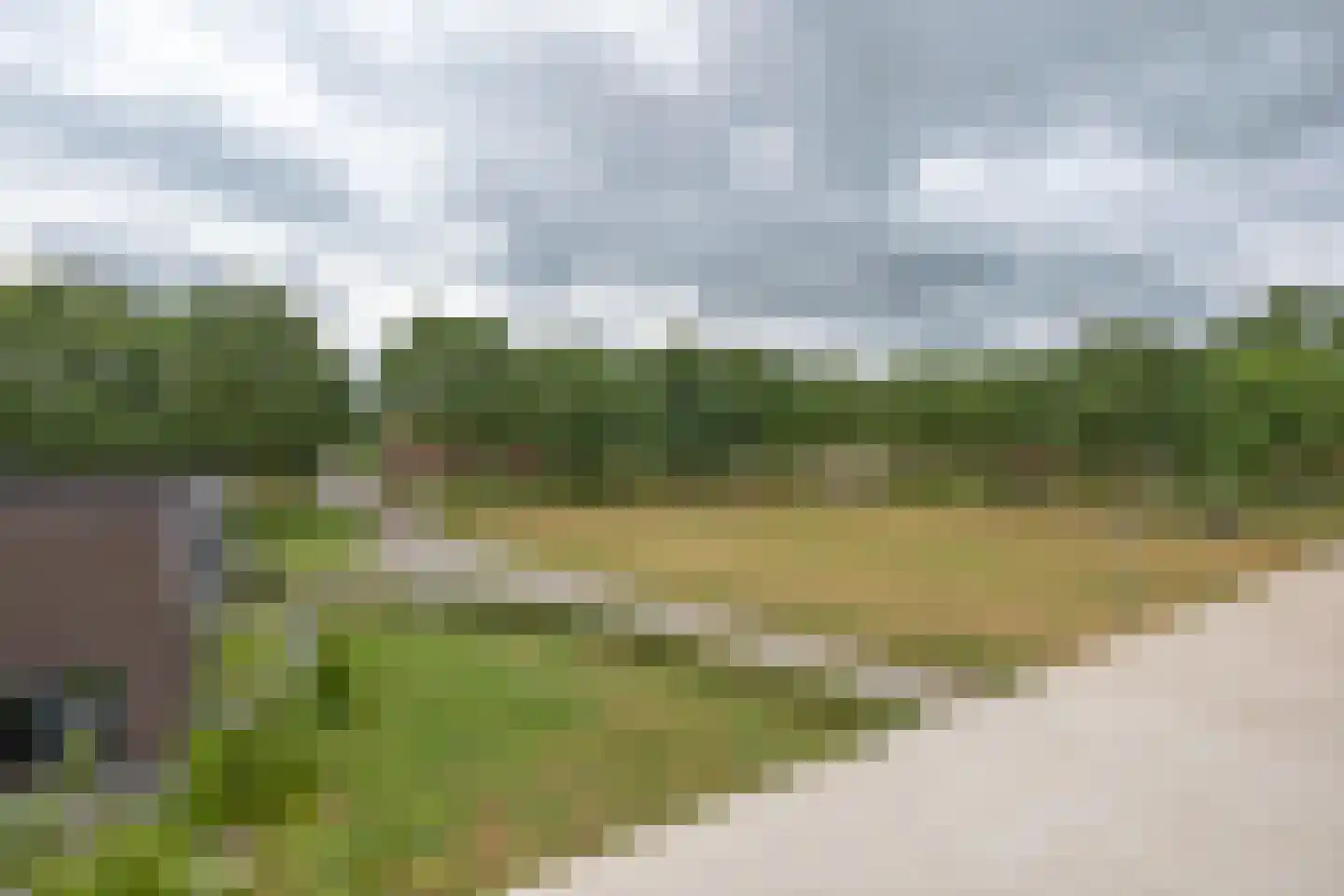Rietgors 15 Emmen thumbnail 60