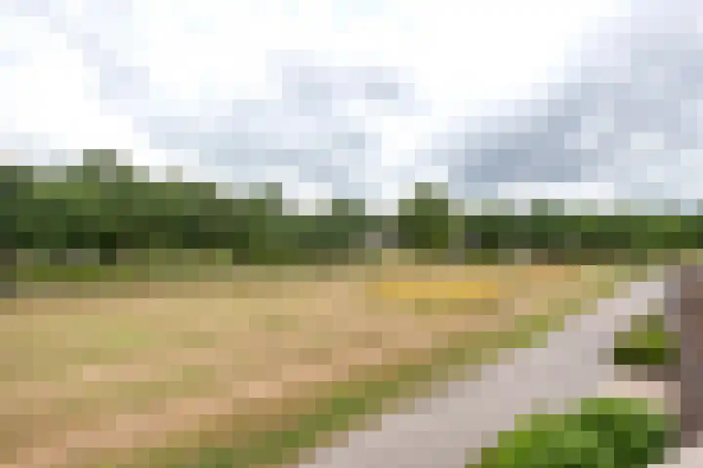 Rietgors 15 Emmen thumbnail 61