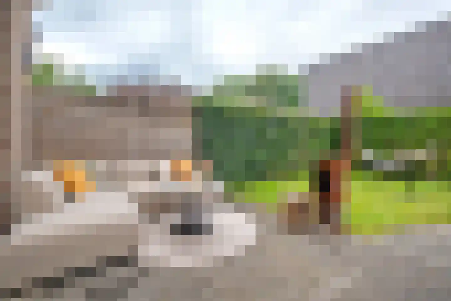 Rietgors 15 Emmen thumbnail 62