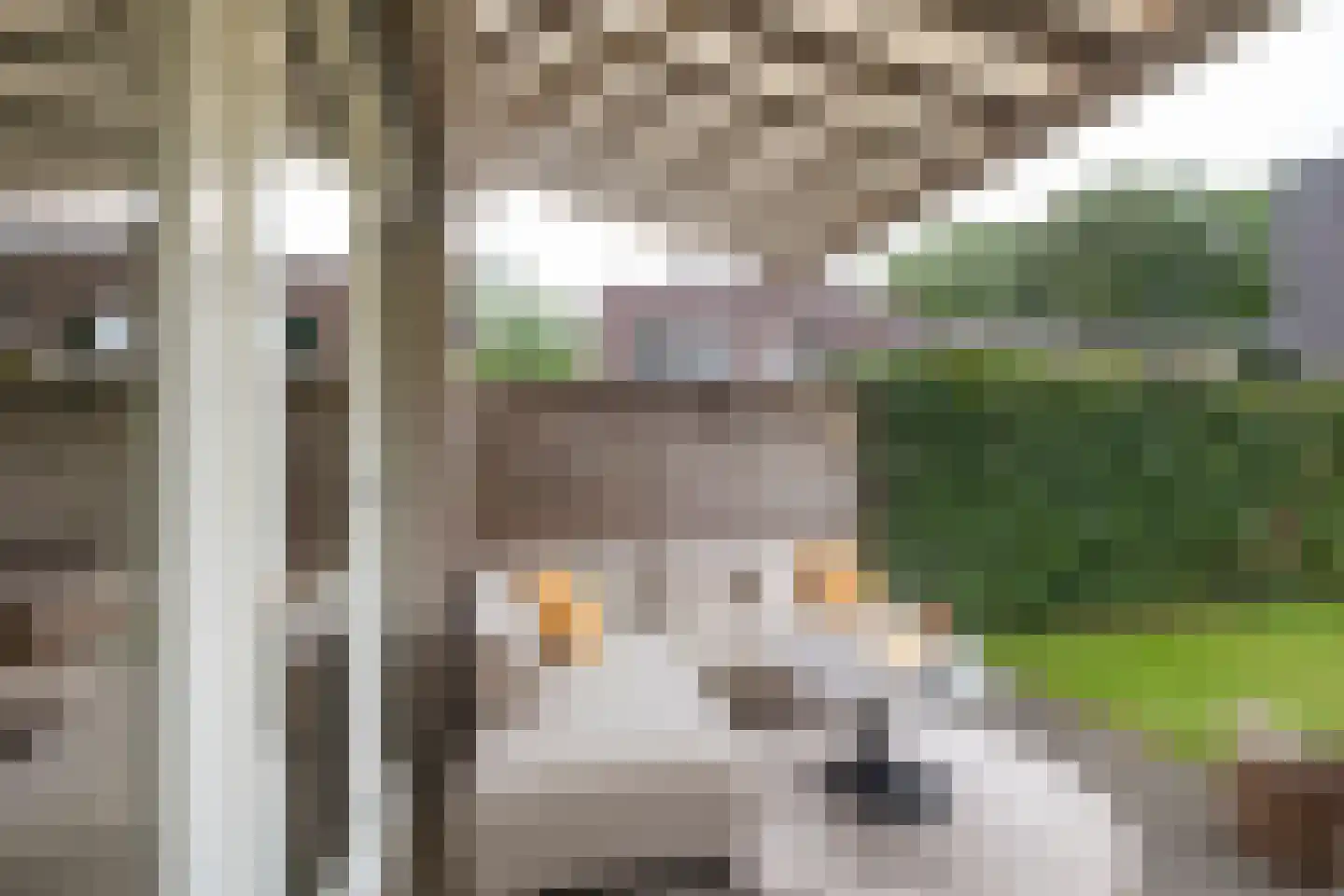 Rietgors 15 Emmen thumbnail 64