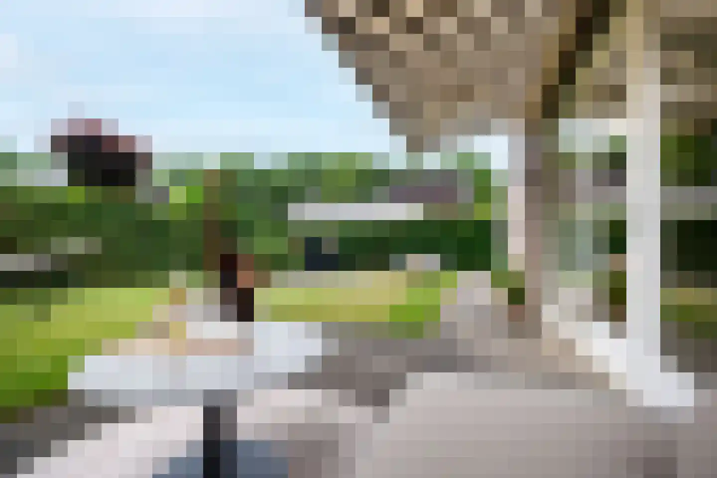 Rietgors 15 Emmen thumbnail 65