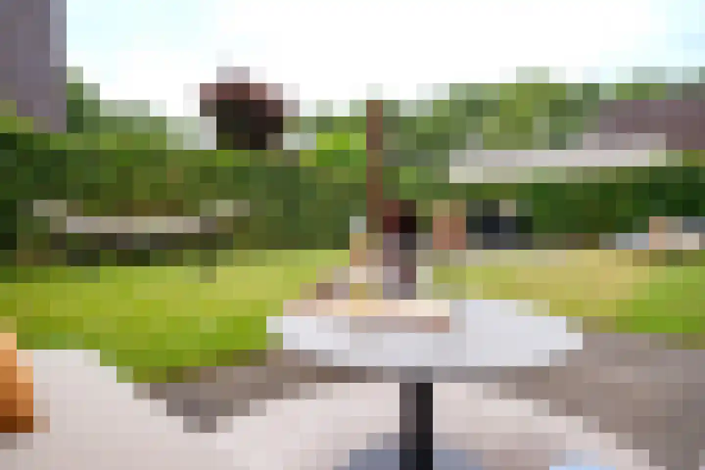 Rietgors 15 Emmen thumbnail 66