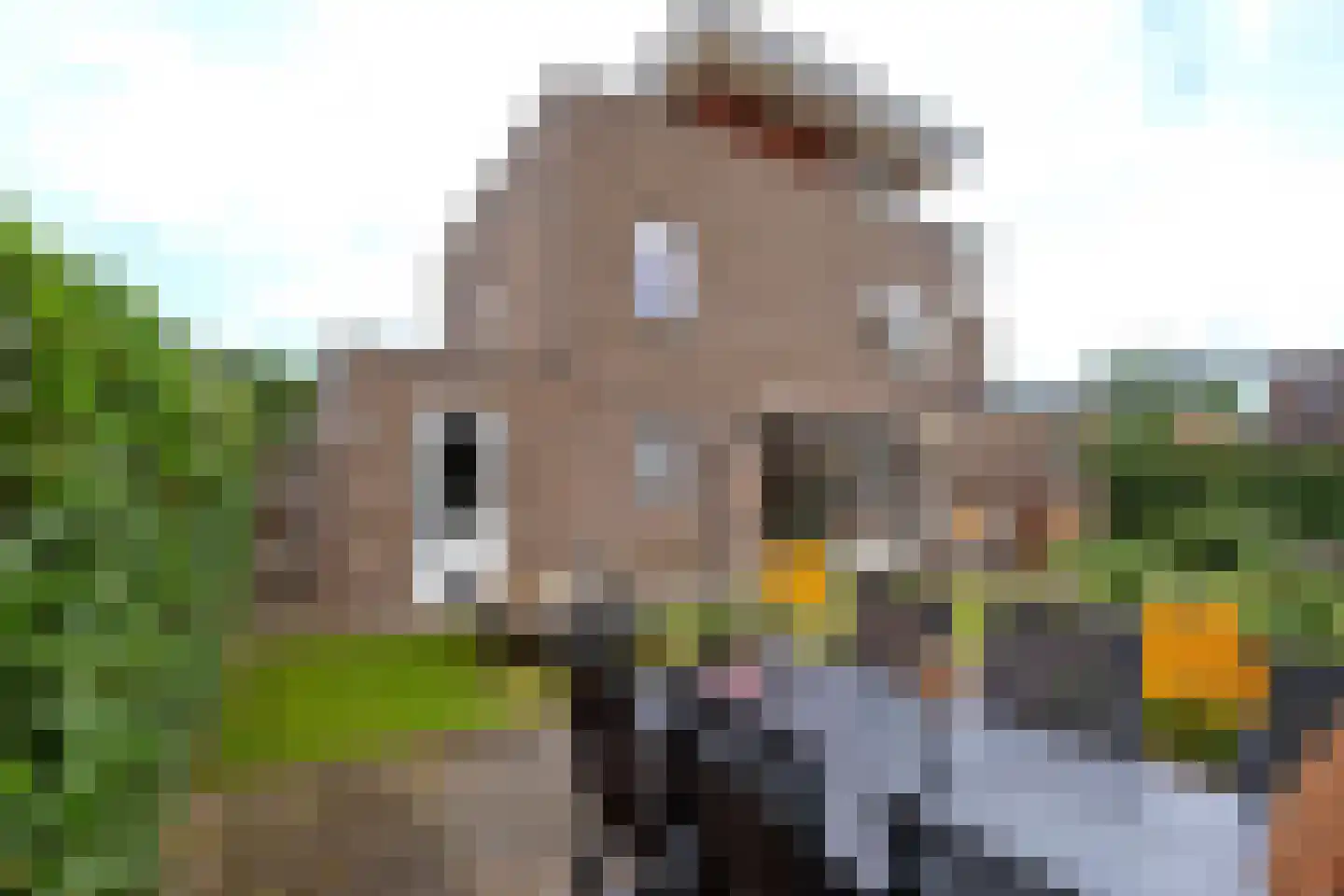 Rietgors 15 Emmen thumbnail 72