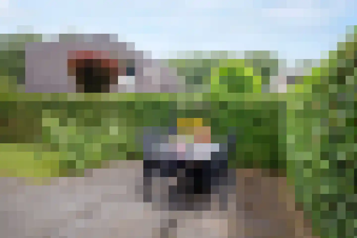 Rietgors 15 Emmen thumbnail 74