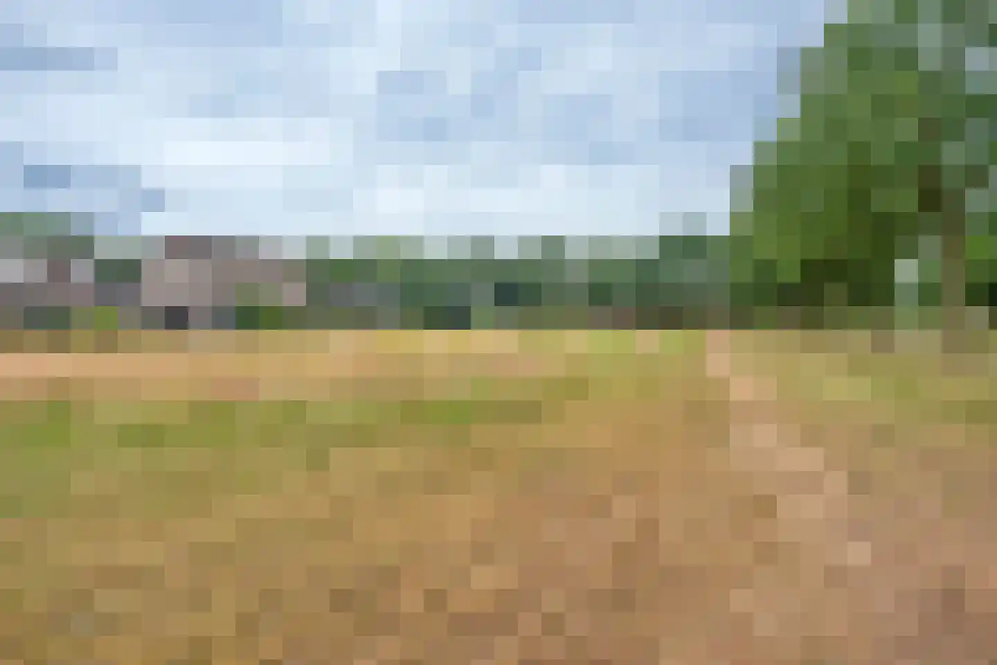 Rietgors 15 Emmen thumbnail 76