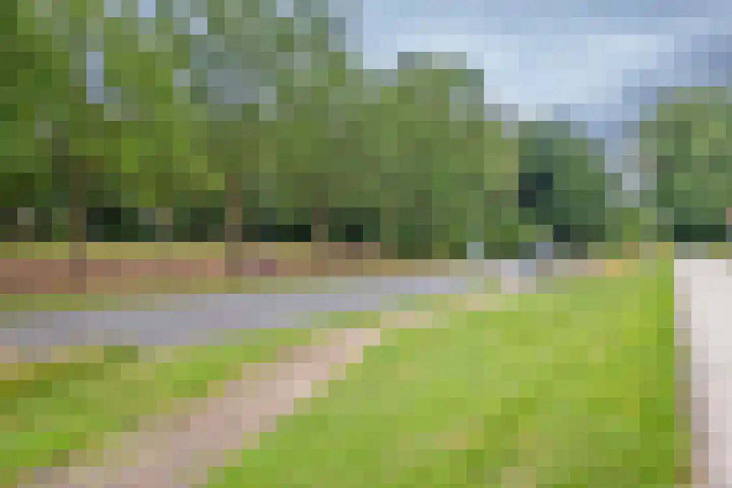 Rietgors 15 Emmen thumbnail 77