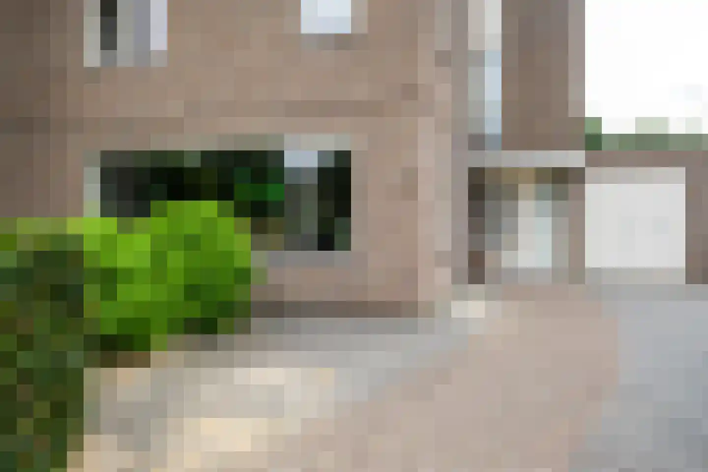 Rietgors 15 Emmen thumbnail 9