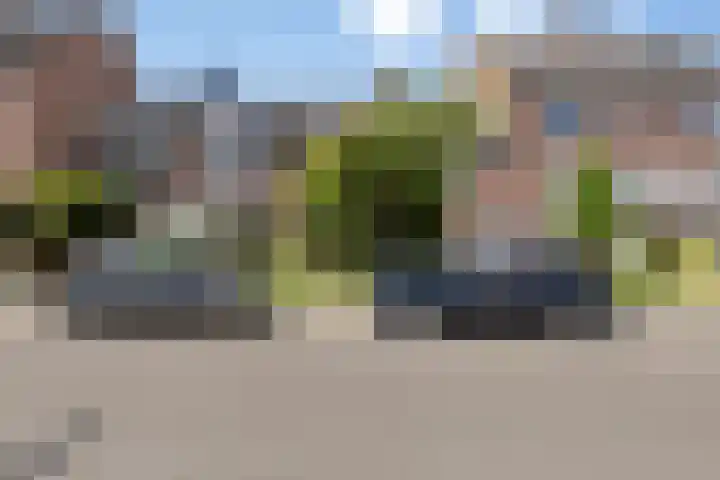 Rietgors 154 Barendrecht thumbnail 30