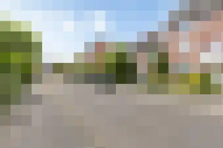 Rietgors 154 Barendrecht thumbnail 7