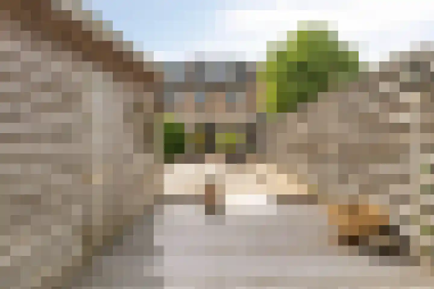 Rietgors 165 a Barendrecht thumbnail 34