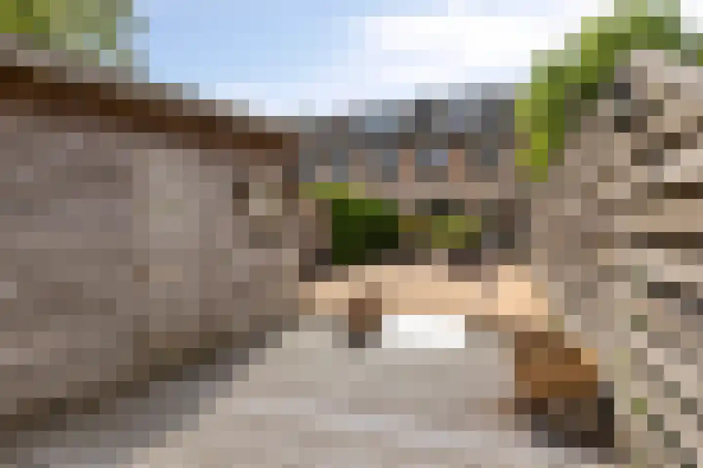Rietgors 165 a Barendrecht thumbnail 35