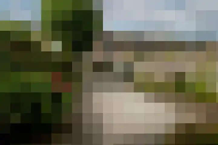Rietgors 169 b Barendrecht thumbnail 33