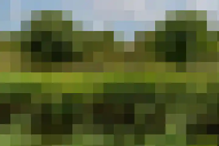 Rietgors 169 b Barendrecht thumbnail 37