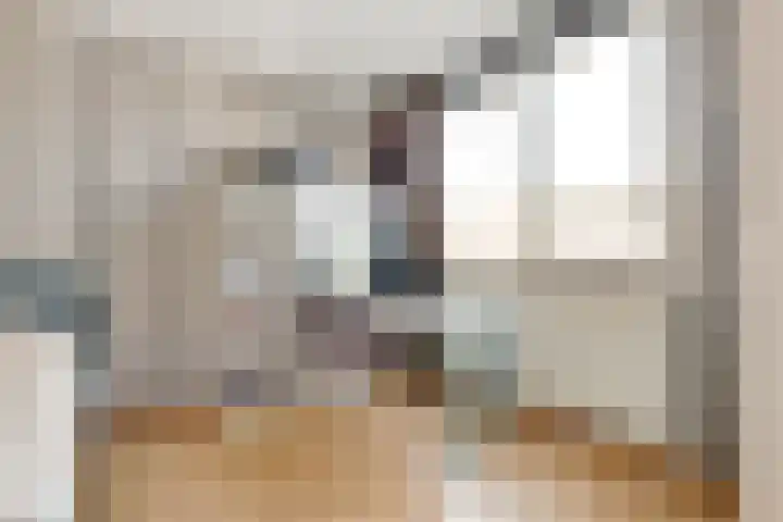 Rietgors 19 Diemen thumbnail 17