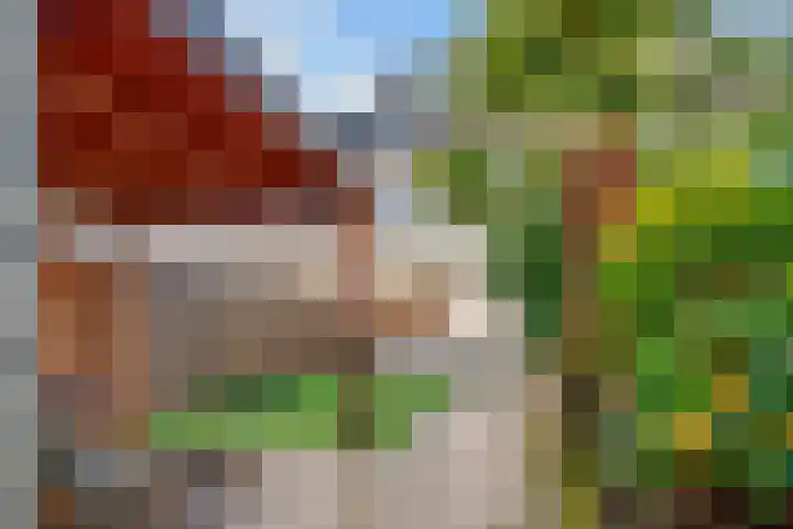 Rietgors 19 Diemen thumbnail 33