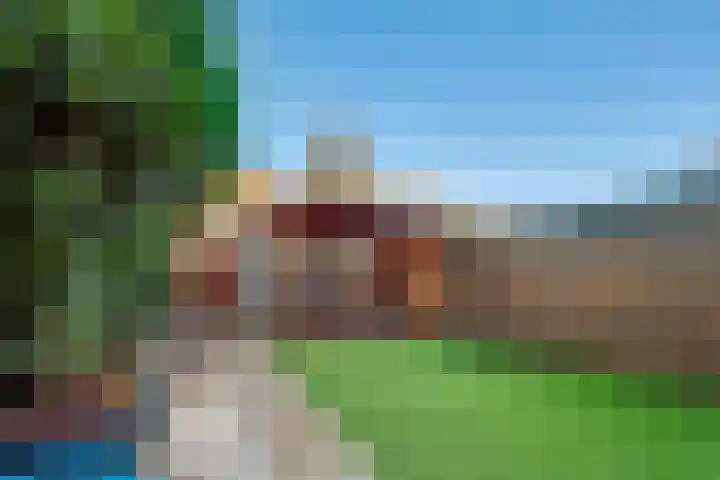 Rietgors 19 Diemen thumbnail 5