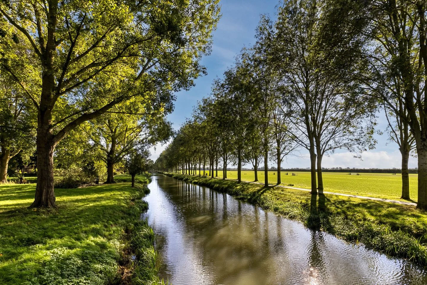 Rietgors 20 IJsselstein thumbnail 55