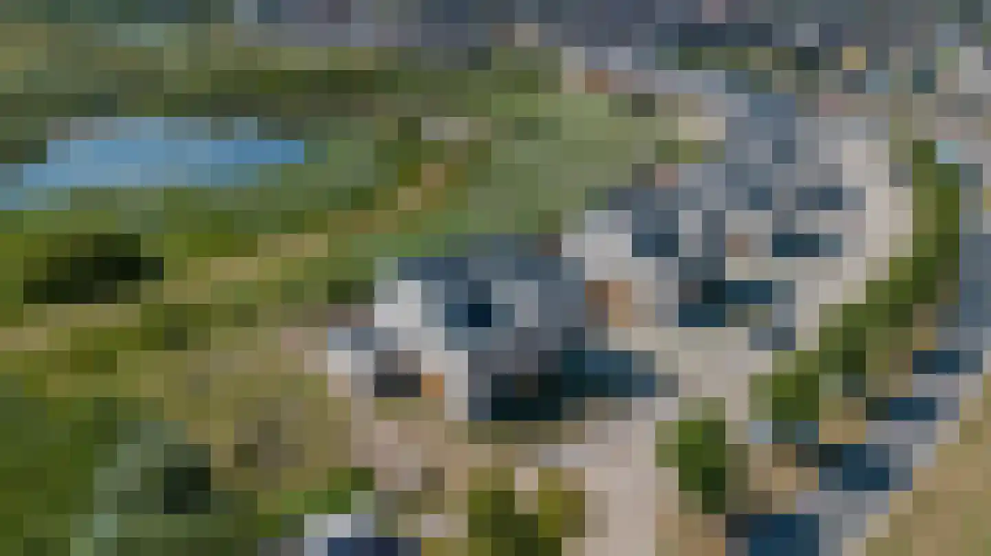 Rietgors 21 Bergen op Zoom thumbnail 43